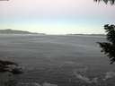 ./images/koeye/fitz-hugh/20200909/fitz-hugh20200909_063501.jpg