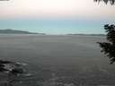 ./images/koeye/fitz-hugh/20200909/fitz-hugh20200909_064001.jpg