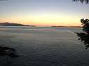 ./images/koeye/fitz-hugh/20200909/fitz-hugh20200909_071502.jpg