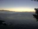 ./images/koeye/fitz-hugh/20200909/fitz-hugh20200909_075002.jpg