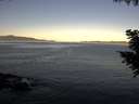 ./images/koeye/fitz-hugh/20200909/fitz-hugh20200909_075502.jpg