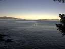 ./images/koeye/fitz-hugh/20200909/fitz-hugh20200909_080002.jpg