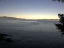 ./images/koeye/fitz-hugh/20200909/fitz-hugh20200909_080502.jpg
