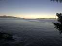 ./images/koeye/fitz-hugh/20200909/fitz-hugh20200909_081001.jpg