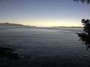 ./images/koeye/fitz-hugh/20200909/fitz-hugh20200909_081501.jpg