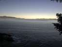 ./images/koeye/fitz-hugh/20200909/fitz-hugh20200909_083501.jpg