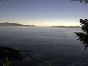 ./images/koeye/fitz-hugh/20200909/fitz-hugh20200909_094501.jpg