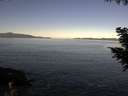 ./images/koeye/fitz-hugh/20200909/fitz-hugh20200909_095001.jpg
