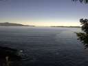 ./images/koeye/fitz-hugh/20200909/fitz-hugh20200909_101502.jpg