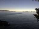 ./images/koeye/fitz-hugh/20200909/fitz-hugh20200909_102502.jpg