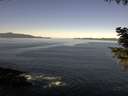 ./images/koeye/fitz-hugh/20200909/fitz-hugh20200909_104002.jpg