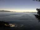 ./images/koeye/fitz-hugh/20200909/fitz-hugh20200909_105002.jpg