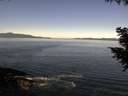 ./images/koeye/fitz-hugh/20200909/fitz-hugh20200909_110502.jpg