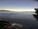 ./images/koeye/fitz-hugh/20200909/fitz-hugh20200909_111002.jpg