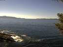 ./images/koeye/fitz-hugh/20200909/fitz-hugh20200909_135502.jpg