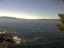 ./images/koeye/fitz-hugh/20200909/fitz-hugh20200909_140502.jpg