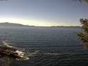 ./images/koeye/fitz-hugh/20200909/fitz-hugh20200909_141002.jpg
