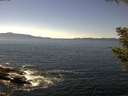 ./images/koeye/fitz-hugh/20200909/fitz-hugh20200909_142002.jpg