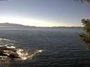 ./images/koeye/fitz-hugh/20200909/fitz-hugh20200909_143501.jpg