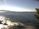 ./images/koeye/fitz-hugh/20200909/fitz-hugh20200909_151501.jpg