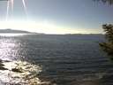 ./images/koeye/fitz-hugh/20200909/fitz-hugh20200909_154501.jpg