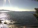 ./images/koeye/fitz-hugh/20200909/fitz-hugh20200909_155501.jpg