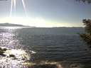 ./images/koeye/fitz-hugh/20200909/fitz-hugh20200909_160002.jpg