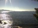 ./images/koeye/fitz-hugh/20200909/fitz-hugh20200909_160501.jpg
