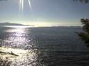 ./images/koeye/fitz-hugh/20200909/fitz-hugh20200909_162502.jpg