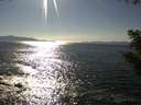 ./images/koeye/fitz-hugh/20200909/fitz-hugh20200909_164502.jpg