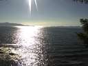 ./images/koeye/fitz-hugh/20200909/fitz-hugh20200909_165002.jpg