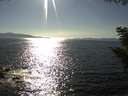 ./images/koeye/fitz-hugh/20200909/fitz-hugh20200909_165502.jpg