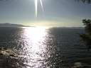 ./images/koeye/fitz-hugh/20200909/fitz-hugh20200909_170502.jpg