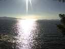 ./images/koeye/fitz-hugh/20200909/fitz-hugh20200909_171002.jpg