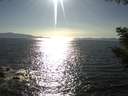 ./images/koeye/fitz-hugh/20200909/fitz-hugh20200909_171502.jpg