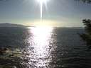 ./images/koeye/fitz-hugh/20200909/fitz-hugh20200909_172002.jpg