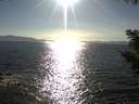 ./images/koeye/fitz-hugh/20200909/fitz-hugh20200909_172502.jpg