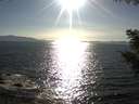 ./images/koeye/fitz-hugh/20200909/fitz-hugh20200909_173501.jpg