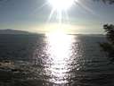 ./images/koeye/fitz-hugh/20200909/fitz-hugh20200909_174001.jpg