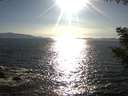 ./images/koeye/fitz-hugh/20200909/fitz-hugh20200909_174501.jpg