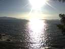./images/koeye/fitz-hugh/20200909/fitz-hugh20200909_175001.jpg