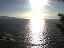 ./images/koeye/fitz-hugh/20200909/fitz-hugh20200909_175501.jpg
