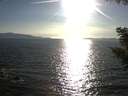 ./images/koeye/fitz-hugh/20200909/fitz-hugh20200909_180001.jpg