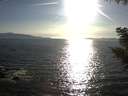 ./images/koeye/fitz-hugh/20200909/fitz-hugh20200909_180501.jpg