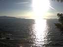 ./images/koeye/fitz-hugh/20200909/fitz-hugh20200909_181001.jpg