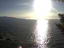 ./images/koeye/fitz-hugh/20200909/fitz-hugh20200909_181501.jpg