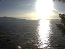 ./images/koeye/fitz-hugh/20200909/fitz-hugh20200909_182001.jpg
