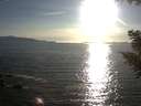 ./images/koeye/fitz-hugh/20200909/fitz-hugh20200909_182501.jpg
