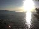./images/koeye/fitz-hugh/20200909/fitz-hugh20200909_183501.jpg