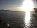./images/koeye/fitz-hugh/20200909/fitz-hugh20200909_184001.jpg